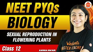 NEET PYQs for Sexual Reproduction in Flowering Plants | Class 12 Biology | NEET 2024