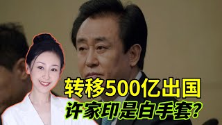 偷偷转移500亿出国？许家印称我可以一无所有！他是谁的白手套？