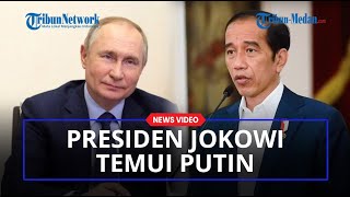 Presiden Jokowi Dikabarkan Temui Presiden Vladimir Putin, Bahas Apa?