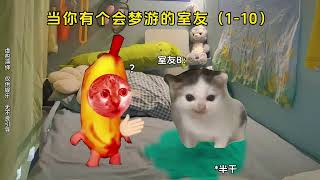 当你有个会梦游的室友（超长尊享版）#猫meme #梦游 #搞笑 #无不良引导 #猫meme小剧场 #猫meme剧场