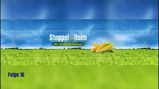 Stoppel und Halm Folge 16