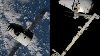SpaceX CRS-19 Dragon capture