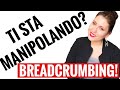 COS'È IL BREADCRUMBING? TECNICA POTENTE DI MANIPOLAZIONE -(NARCISISMO E RELAZIONI TOSSICHE)