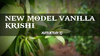 New Model Vanilla Krishi