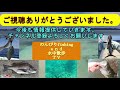 舞鶴親海公園：落とし込みでチヌ連発　　　maizuru seaside park black snapper fishing