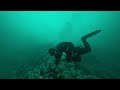 port hardy scuba diving october 2023 mola mola _ octopus vancouverisland sonya7s3