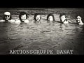 Akzente - Grupul de acţiune Banat (Aktionsgruppe Banat)