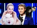 Justin Bieber, Miley Cyrus: The Cutest Celebrity Pets