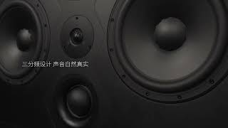 hivi swan speakers X-Main 惠威专业高保真无源监听音箱专为追求卓越音质的发烧友而来