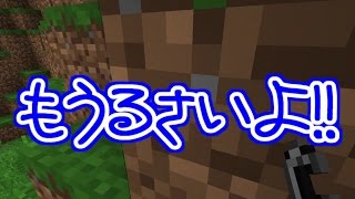 オイ俺らなんでこんな適当マインクラフト⑨