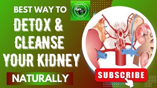 Best ways to detox and cleanse your kidneys naturally #kidney #healthy #kidneydisease #kidneyhealth