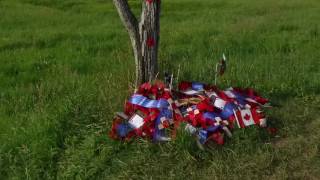 Commemorative ceremony at the Beaumont-Hamel Newfoundland Memorial