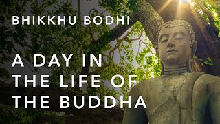 A Day in the Life of the Buddha | Bhikkhu Bodhi