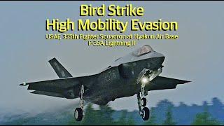 [ASMR 百里基地] 米空軍F-35 ローアプローチ中 バードストライクを高機動回避　USAF, 355th FS / F-35A　Bird Strike High Mobility Evasion