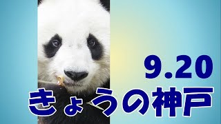 明日も健やかな日であるよう願う🐼 きょうのタンタンの住む街、神戸🐼 異人館街🐼 神戸散歩🐼 #2021年9月20日🐼