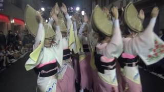 2016.9.22初台阿波踊り（新宿区役所つつじ連）①