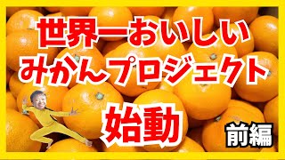 世界一おいしいみかんプロジェクト始動（前編）