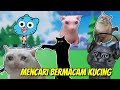 MENCARI BERBAGAI MACAM KOCHENG LUCU DI ROBLOX - Find The Cats (Roblox Indonesia)