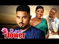 ROSE FLOWER 3&4 - WATCH BEN TOUITOU/CHINONSO ARUBAYI (2024) NIGERIAN MOVIE