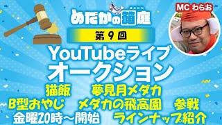 めだかの箱庭 第9回 Youtubeライブオークション