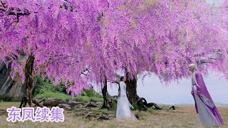 《三生三世枕上书》东凤续集36：喜结连理，洞房花烛（大结局）！！