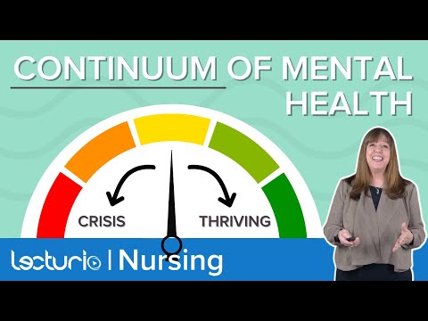 What is the mental health care continuum?