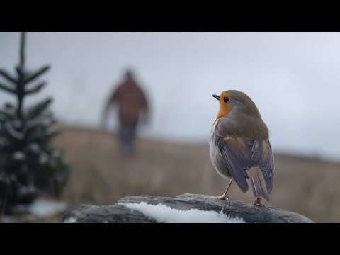 What is the song on the new John Lewis advert?