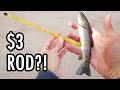 Fishing With a $3 