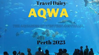 Aquarium Perth (Australia)ਨਹੀਂ ਕਿਸੇ ਅਜੂਬੇ ਤੋਂ ਘੱਟ !   ਵਿਲੱਖਣ ਸਮੁੰਦਰ ਦੀ ਦੁਨੀਆ ! ਆਉ ਦੇਖੀਏ