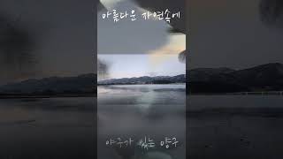 야구가 있는 청춘 양구 (24년 11월 청춘양구배 리틀야구 추계리그)