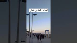 جولة في شمال أجواء رائعة جدا #اكسبلور #ترند #shortvideo #تيك_توك