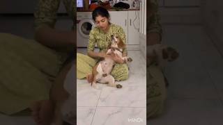 sai pallavi dog playing| saipallavi telugu songs#shorts#youtubeshorts#viral#trending
