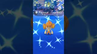 😱 First Ever ✨ Shiny Pansear In Pokemon Go! #pokmongo #pokemon #ポケモンgo