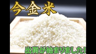 おいしい今金米が初出荷されました！（令和３年産）