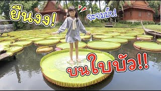 ยืนงงบนใบบัว!! ปล่อยเฌอแตมยืนเก้อ แล้วกลับบ้าน!!! | แม่ปูเป้ เฌอแตม Tam Story