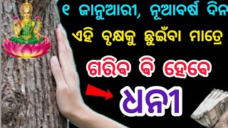 ୧ ଜାନୁଆରୀ ନୂଆବର୍ଷ ଦିନ ଏହି ବୃକ୍ଷକୁ ଛୁଇଁବା ମାତ୍ରେ ଗରିବ ବି ହେବେ ଧନୀ//new year 2025