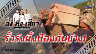 รั้วรังผึ้งป้องกันช้าง! | อึ้ง ทึ่ง เสียว