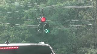 DOGHOUSE STYLE TRAFFIC LIGHT #48