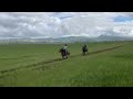 Traditional horse Racing_kwaMpande KZN 16/02/2026 