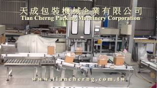 全自動紙箱成型套袋生產線 2袋式  Fully Auto Carton Erector sealing with Bagging  Inserter System