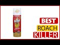 ✅ Best Roach Killer Reviews In 2023 🏆 5 Items Tested & Buying Guide