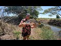 Ultralight barramundi fishing with mates #fishing #qld #barramundi #subscribe #like