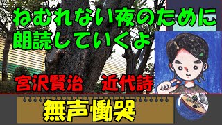 【睡眠用】完結！ むせび泣く  宮沢賢治 その6 /朗読するよ 詩『無声慟哭』眠れない夜に＊読み聞かせ