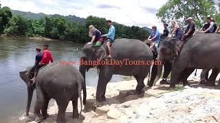 Elephant Tours Bangkok ♥ Original only from Bangkok Day Tours!✔