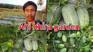 Eko ani khirai🥒🥒❤👌👍bwswk bahaikhe bwthai thaikha naidi guys||Tripura kokborok viral vlog video2024