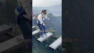 🔥Would you do this for $800? #viralvideo #shorts #youtubeshorts