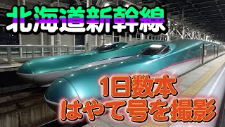 【2泊4日の旅】夜の新函館北斗駅で北海道新幹線を撮影！新函館北斗駅始発では夜2本だけのはやて（盛岡行きと新青森行き）を撮影