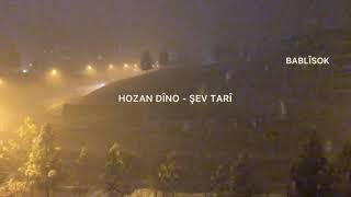 Hozan Dîno - Şev (Türkçe Çeviri)