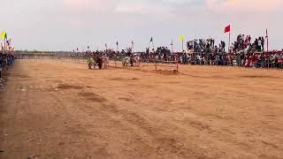 Bangalore  kara at Bangalore  Bullock  cart race