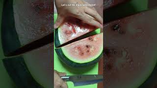 スイカを切ったら種が発芽してた！Let's try cutting homemade watermelon!